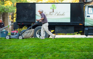 lawn care kansas city