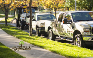 Kansas City Autumn Landscaping