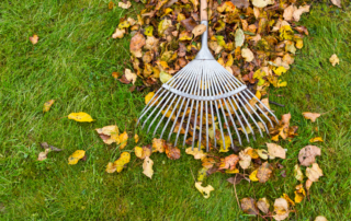 Lawn Care Services in Parkville