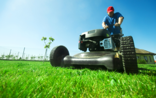 Lawn Services in Parkville