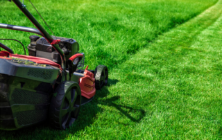 Lawn Care Company in Lenexa