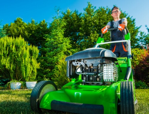 Lawn Care and Landscaping Services in Lenexa: Elevate Your Outdoor Space with By The Blade